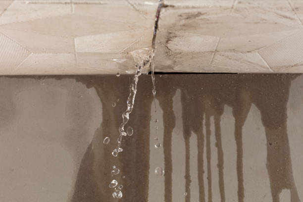 Professional Water Damage Inspection technician working in Old Hickory, TN